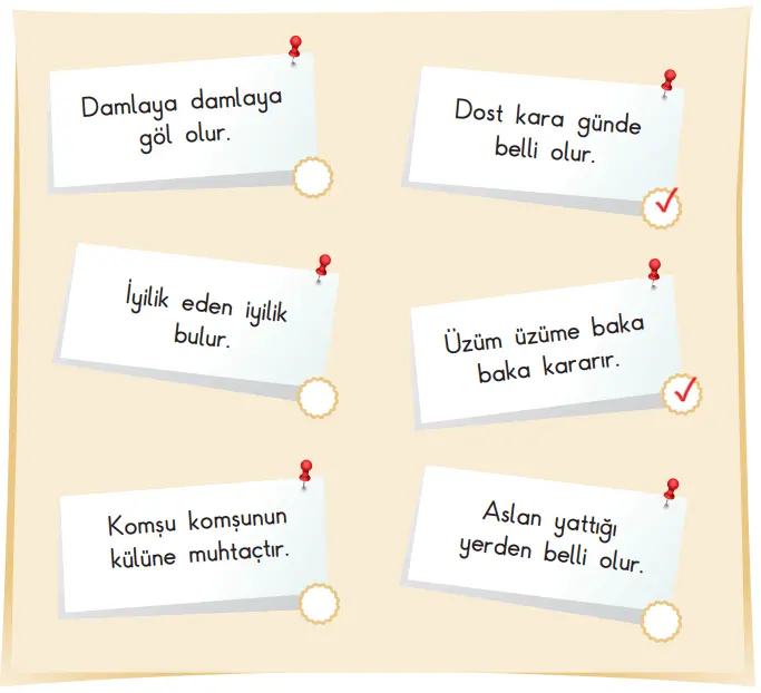 3. Sınıf Hayat Bilgisi Ders Kitabı Sayfa 27-28-29-30 Cevapları SDR İpekyolu Yayıncılık