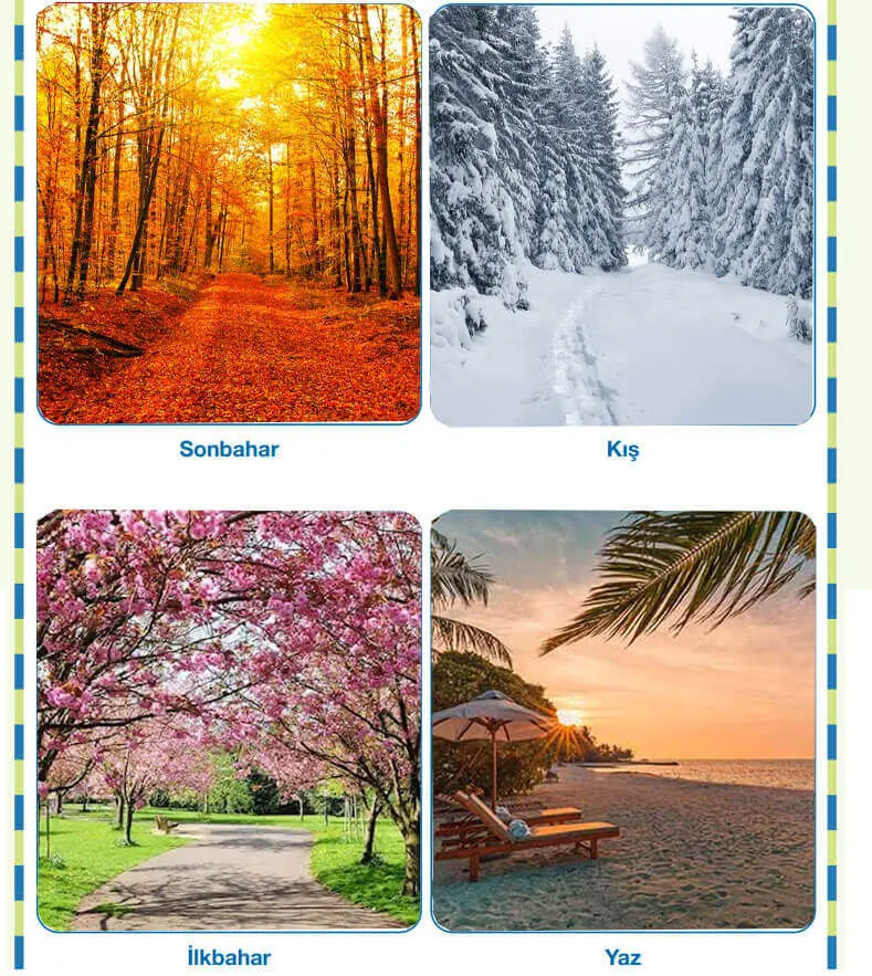 4. Sınıf Fen Bilimleri Ders Kitabı Sayfa 47-48-49 Cevapları Pasifik Yayınları 3 4. Sınıf Fen Bilimleri Ders Kitabı Sayfa 49 Cevapları Pasifik Yayınları