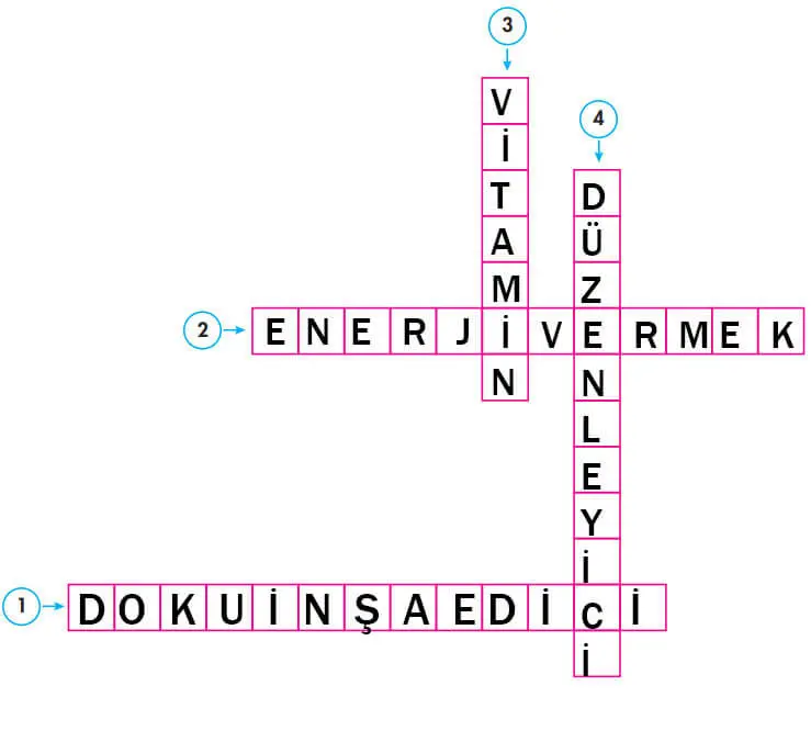 4. Sınıf Fen Bilimleri Ders Kitabı Sayfa 78-79-80-81-82-83 Cevapları Pasifik Yayınları 3 4. Sınıf Fen Bilimleri Ders Kitabı Sayfa 81 Cevapları Pasifik Yayınları