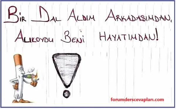 4. Sınıf Fen Bilimleri Ders Kitabı Sayfa 78-79-80-81-82-83 Cevapları Pasifik Yayınları 4 4. Sınıf Fen Bilimleri Ders Kitabı Sayfa 83 Cevapları Pasifik Yayınları