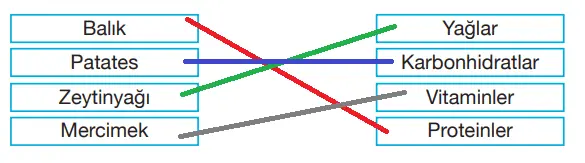 4. Sınıf Fen Bilimleri Ders Kitabı Sayfa 86-87-88-89 Cevapları Pasifik Yayınları 1 4. Sınıf Fen Bilimleri Ders Kitabı Sayfa 87 Cevapları Pasifik Yayınları