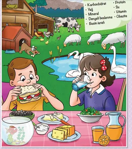 4. Sınıf Fen Bilimleri Ders Kitabı Sayfa 58-59-60-61-63 Cevapları Pasifik Yayınları 1 4. Sınıf Fen Bilimleri Ders Kitabı Sayfa 58 Cevapları Pasifik Yayınları