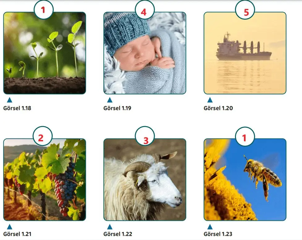 5. Sınıf Din Kültürü Ders Kitabı Sayfa 20-21-22-24 Cevapları MEB Yayınları 3 5. Sınıf Din Kültürü Ders Kitabı Sayfa 24 Cevapları MEB Yayınları