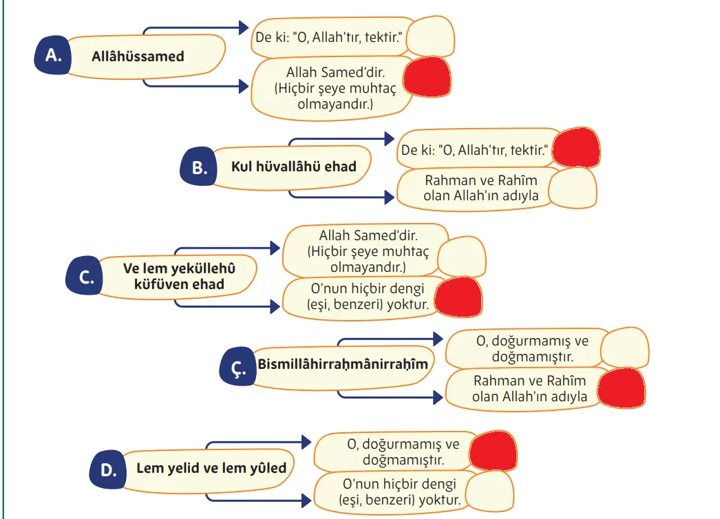 5. Sınıf Din Kültürü Ders Kitabı Sayfa 42-44-45-46-47-48 Cevapları MEB Yayınları 2 5. Sınıf Din Kültürü Ders Kitabı Sayfa 44 Cevapları MEB Yayınları