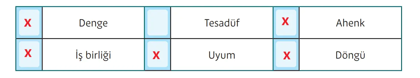 5. Sınıf Din Kültürü Ders Kitabı Sayfa 51-52-53-54-55-56 Cevapları MEB Yayınları