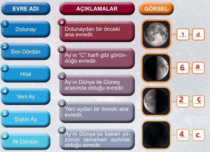 5. Sınıf Fen Bilimleri Ders Kitabı Sayfa 43 Cevapları MEB Yayınları