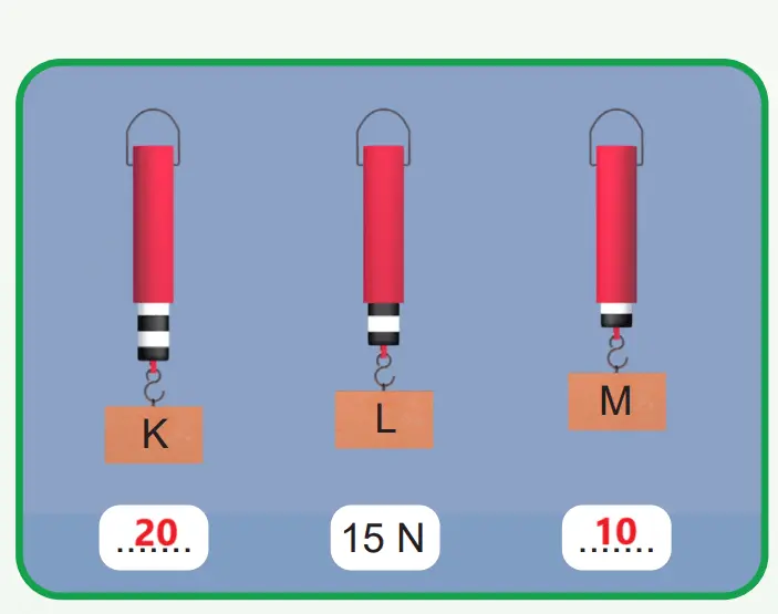 5. Sınıf Fen Bilimleri Ders Kitabı Sayfa 66-67-68. Cevapları MEB Yayınları 4 5. Sınıf Fen Bilimleri Ders Kitabı Sayfa 68 Cevapları MEB Yayınları