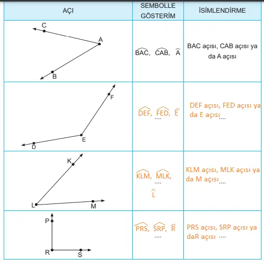 5. Sınıf Matematik Ders Kitabı Sayfa 24 Cevapları MEB Yayınları
