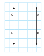 5. Sınıf Matematik Ders Kitabı Sayfa 48-49-50 Cevapları MEB Yayınları