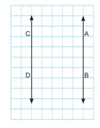 5. Sınıf Matematik Ders Kitabı Sayfa 48-49-50 Cevapları MEB Yayınları