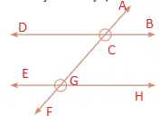5. Sınıf Matematik Ders Kitabı Sayfa 56 Cevapları MEB Yayınları