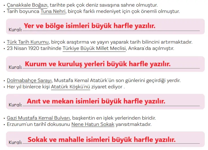 5. Sınıf Türkçe Ders Kitabı Sayfa 87 Cevapları MEB Yayınları
