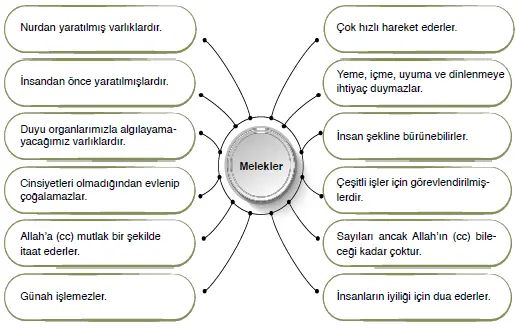 7. Sınıf Din Kültürü Ders Kitabı Sayfa 15-18 Cevapları Erkad Yayıncılık