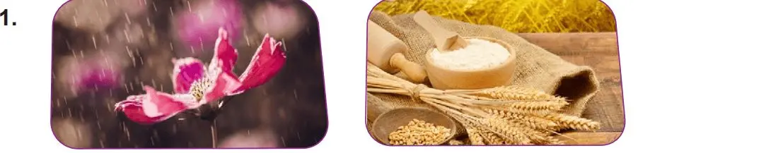 7. Sınıf Din Kültürü Ders Kitabı Sayfa 16-20 Cevapları MEB Yayınları 1 7. Sınıf Din Kültürü Ders Kitabı Sayfa 20 Cevapları MEB Yayınları