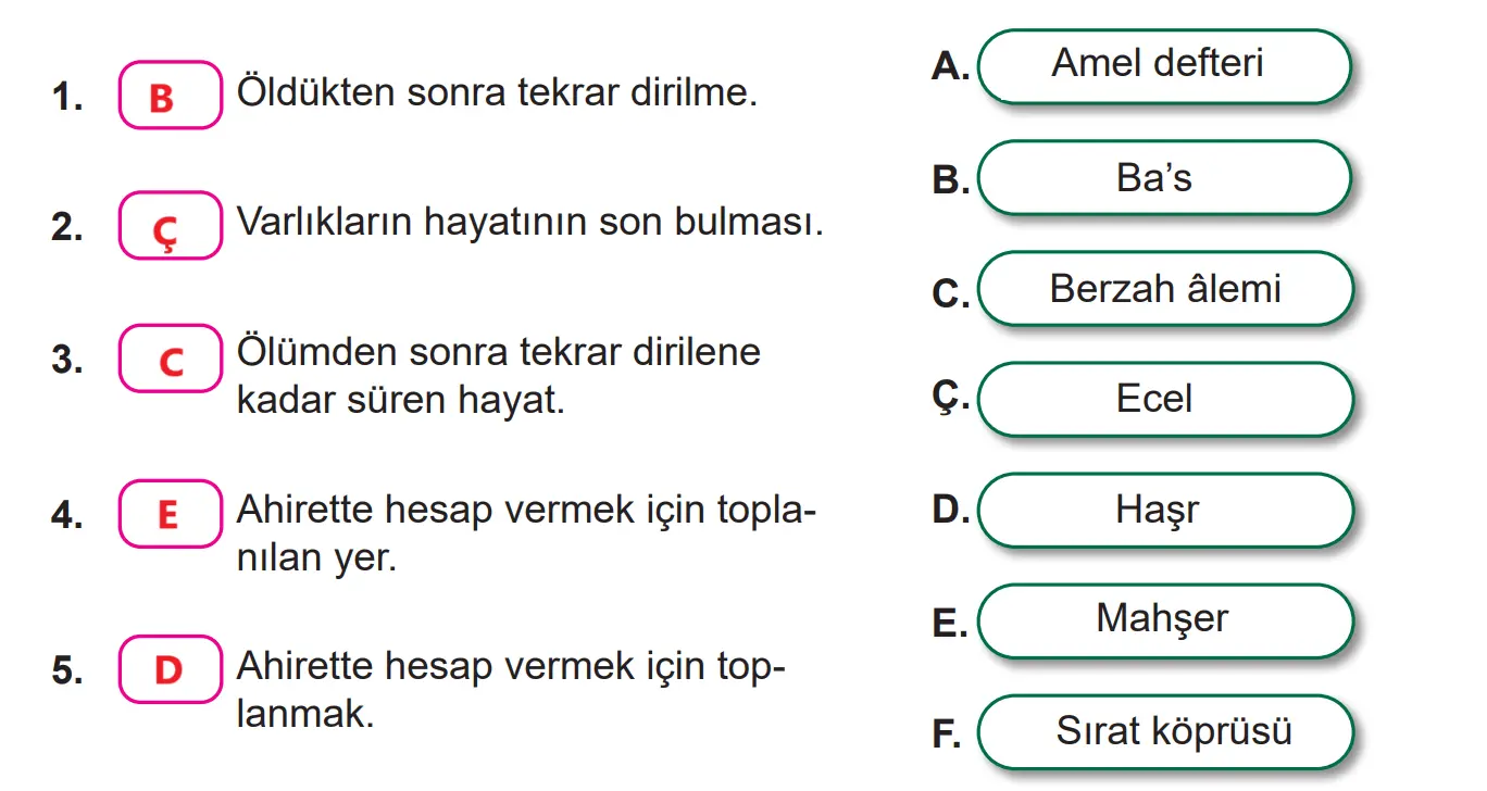 7. Sınıf Din Kültürü Ders Kitabı Sayfa 21-24 Cevapları MEB Yayınları