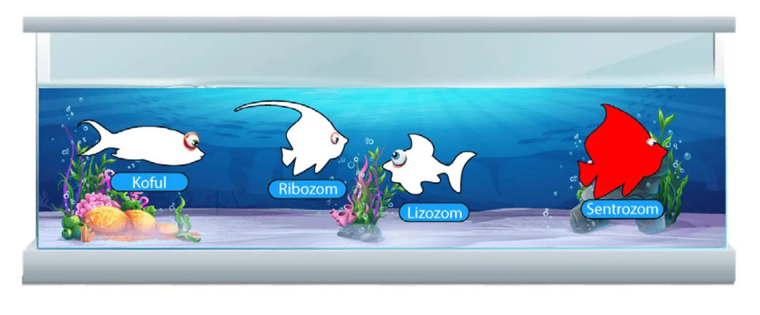 7. Sınıf Fen Bilimleri Ders Kitabı Sayfa 54 Cevapları MEB Yayınları