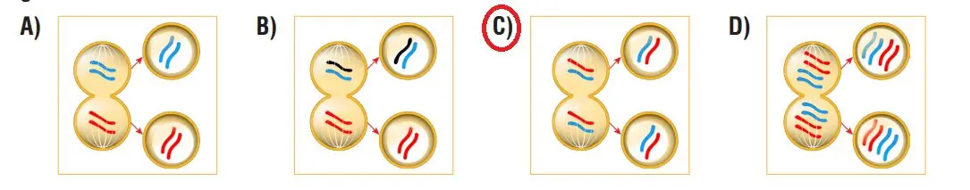 7. Sınıf Fen Bilimleri Ders Kitabı Sayfa 72 Cevapları MEB Yayınları