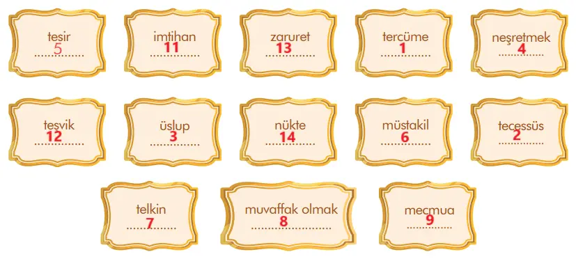 7. Sınıf Türkçe Ders Kitabı Sayfa 20-22-23-24-25-26-27 Cevapları MEB Yayınları