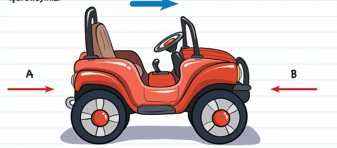 3. Sınıf Fen Bilimleri Ders Kitabı Sayfa 77-79-80-84-85 Cevapları MEB Yayınları