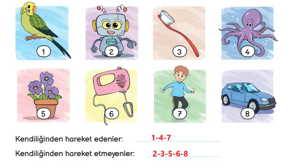 3. Sınıf Fen Bilimleri Ders Kitabı Sayfa 86-87-88-89 Cevapları MEB Yayınları