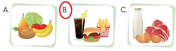 3. Sınıf Hayat Bilgisi Ders Kitabı Sayfa 111-112-113-114 Cevapları SDR İpekyolu Yayıncılık 3 3. Sınıf Hayat Bilgisi Ders Kitabı Sayfa 112 Cevapları SDR İpekyolu Yayıncılık