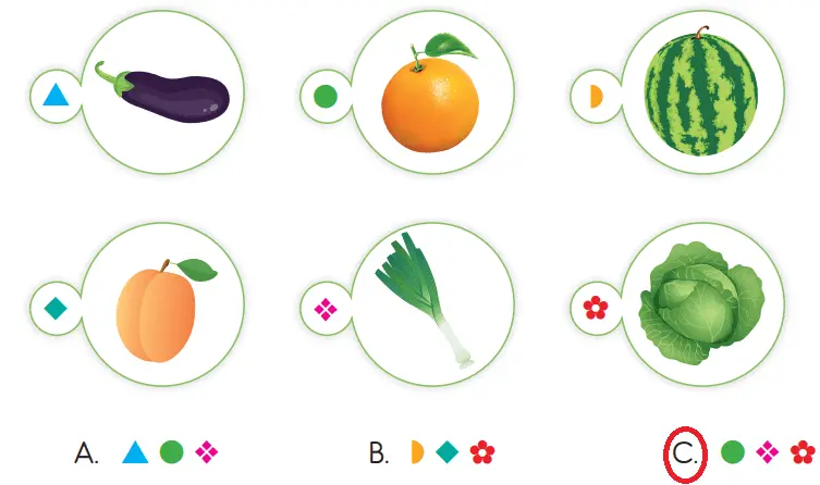 3. Sınıf Hayat Bilgisi Ders Kitabı Sayfa 111-112-113-114 Cevapları SDR İpekyolu Yayıncılık 4 3. Sınıf Hayat Bilgisi Ders Kitabı Sayfa 113 Cevapları SDR İpekyolu Yayıncılık