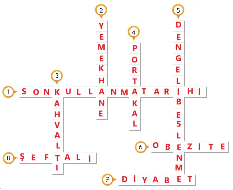 3. Sınıf Hayat Bilgisi Ders Kitabı Sayfa 111-112-113-114 Cevapları SDR İpekyolu Yayıncılık 5 3. Sınıf Hayat Bilgisi Ders Kitabı Sayfa 114 Cevapları SDR İpekyolu Yayıncılık