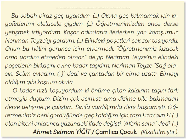 3. Sınıf Türkçe Ders Kitabı Sayfa 113-114-115-116-117 Cevapları MEB Yayınları