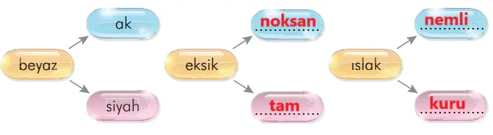 3. Sınıf Türkçe Ders Kitabı Sayfa 159-160-161-162 Cevapları İlke Yayıncılık 3 3. Sınıf Türkçe Ders Kitabı Sayfa 161 Cevapları İlke Yayıncılık