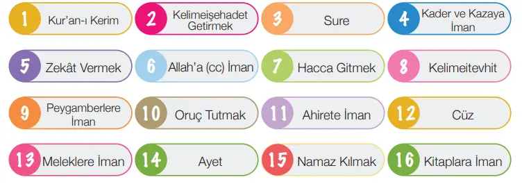 4. Sınıf Din Kültürü Ders Kitabı Sayfa 46-49-50-51 Cevapları MEB Yayınları