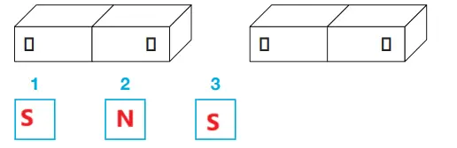 4. Sınıf Fen Bilimleri Ders Kitabı Sayfa 111-112-113-114-115 Cevapları Pasifik Yayınları 5 4. Sınıf Fen Bilimleri Ders Kitabı Sayfa 113 Cevapları Pasifik Yayınları1