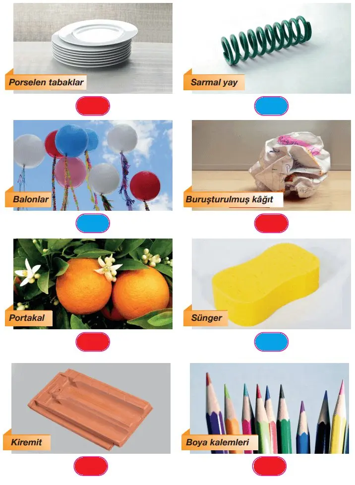 4. Sınıf Fen Bilimleri Ders Kitabı Sayfa 92-94-95-96-98-99 Cevapları Pasifik Yayınları 2 4. Sınıf Fen Bilimleri Ders Kitabı Sayfa 99 Cevapları Pasifik Yayınları