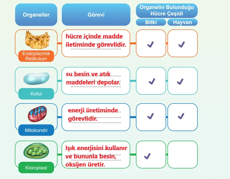 5. Sınıf Fen Bilimleri Ders Kitabı Sayfa 103-105-106-110-111-112-114 Cevapları MEB Yayınları 5 5. Sınıf Fen Bilimleri Ders Kitabı Sayfa 114 Cevapları MEB Yayınları