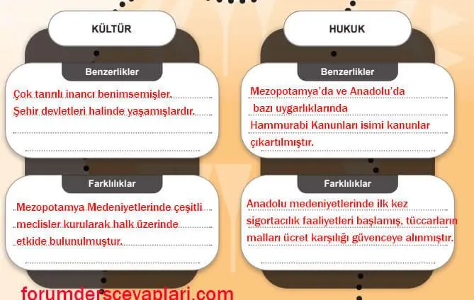 5. Sınıf Sosyal Bilgiler Ders Kitabı Sayfa 140-141-142-143 Cevapları MEB Yayınları
