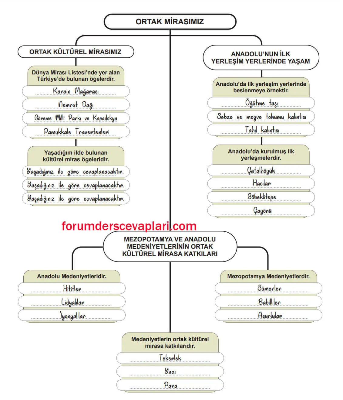 5. Sınıf Sosyal Bilgiler Ders Kitabı Sayfa 144-145-146-147-148-149 Cevapları MEB Yayınları 2 5. Sınıf Sosyal Bilgiler Ders Kitabı Sayfa 143 Cevapları MEB Yayınları