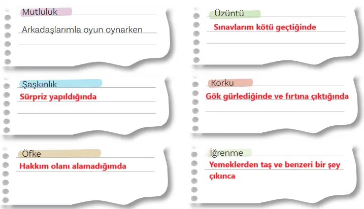 5. Sınıf Türkçe Ders Kitabı Sayfa 138-139-140-141 Cevapları MEB Yayınları