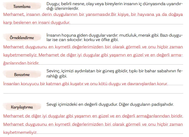 5. Sınıf Türkçe Ders Kitabı Sayfa 142-143-144-145 Cevapları MEB Yayınları