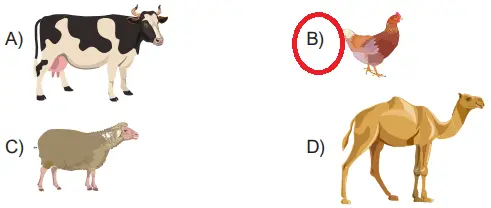 7. Sınıf Din Kültürü Ders Kitabı Sayfa 66-67-68-69-70-71 Cevapları MEB Yayınları 6 7. Sınıf Din Kültürü Ders Kitabı Sayfa 69 Cevapları MEB Yayınları3
