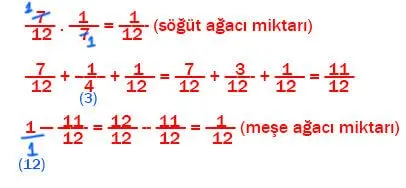 7. Sınıf Matematik Ders Kitabı Sayfa 99 Cevapları Edat Yayınları3
