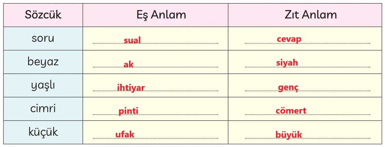 3. Sınıf Türkçe Ders Kitabı Sayfa 165-166-167-168-169-170-171-172 Cevapları MEB Yayınları