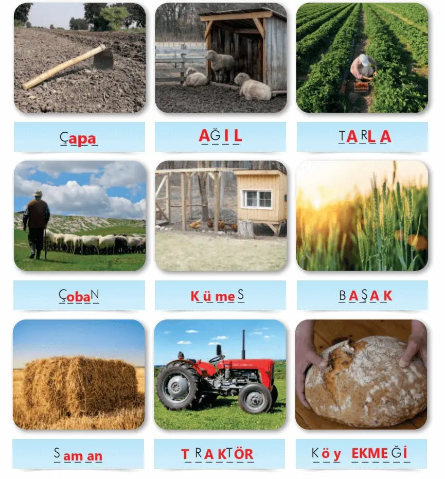 3. Sınıf Türkçe Ders Kitabı Sayfa 181-189 Cevapları İlke Yayıncılık