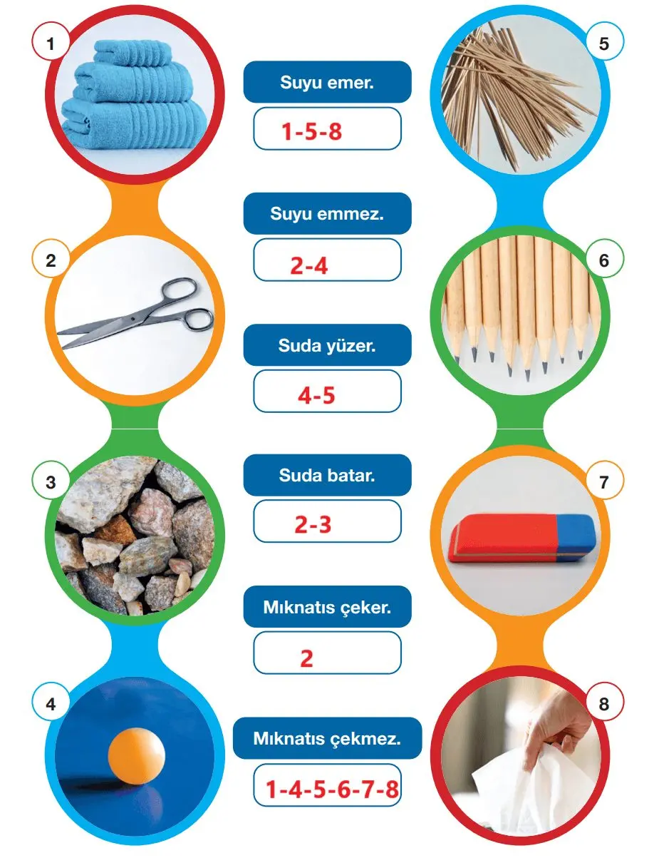 4. Sınıf Fen Bilimleri Ders Kitabı Sayfa 123 Cevapları Pasifik Yayınları