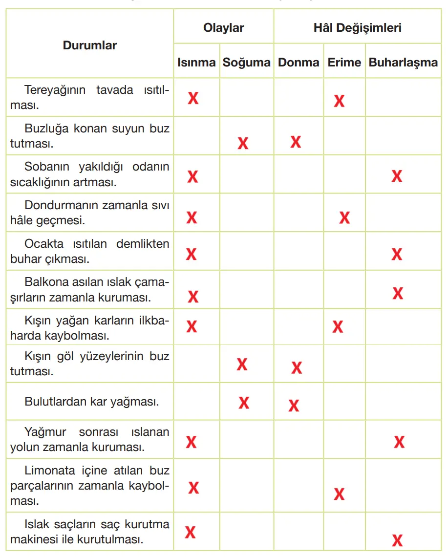 4. Sınıf Fen Bilimleri Ders Kitabı Sayfa 140-142-144-146 Cevapları Pasifik Yayınları