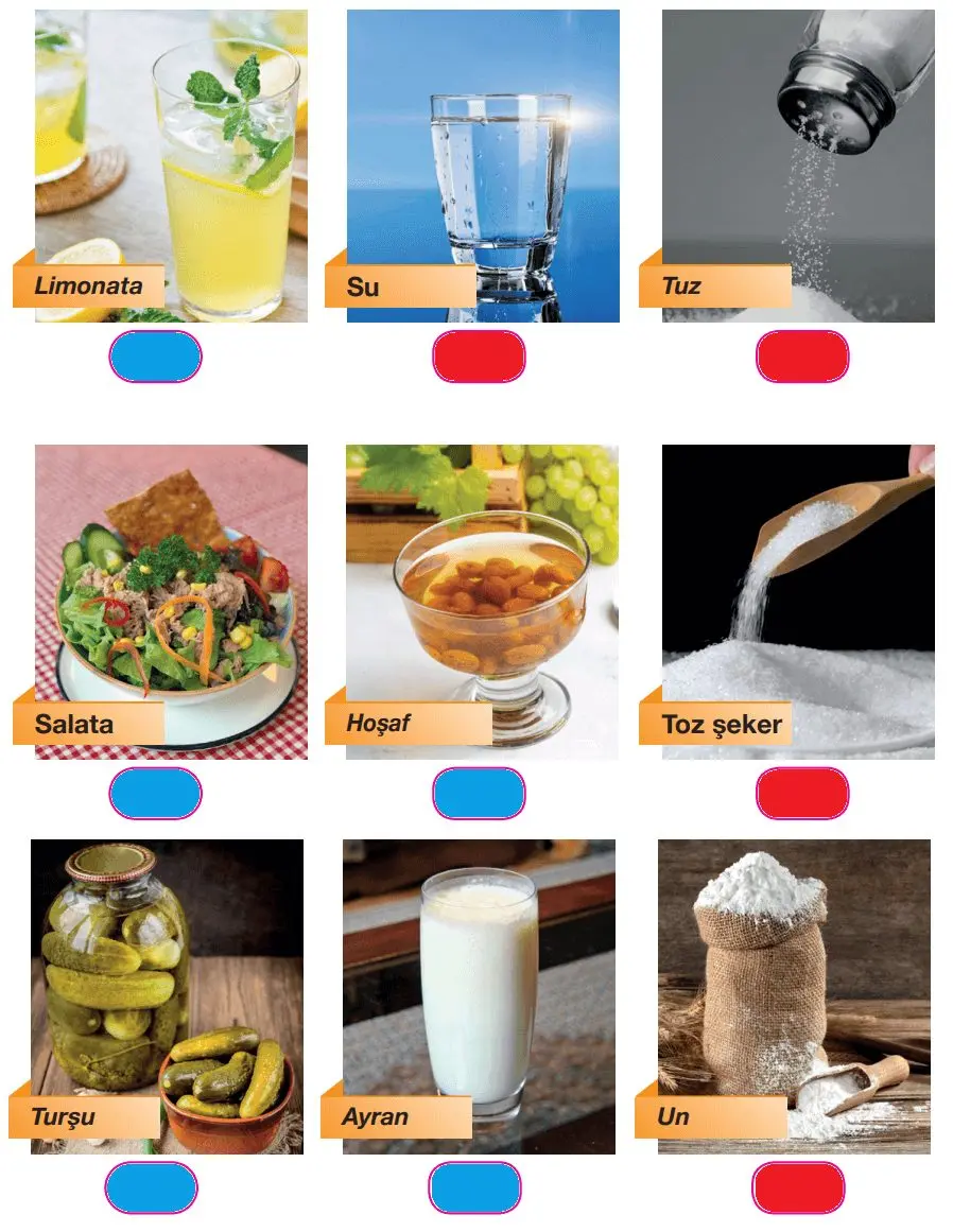 4. Sınıf Fen Bilimleri Ders Kitabı Sayfa 154-155-156 Cevapları Pasifik Yayınları