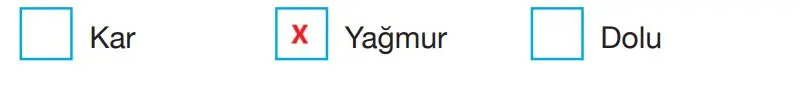 4. Sınıf Fen Bilimleri Ders Kitabı Sayfa 159-160-161-162-163 Cevapları Pasifik Yayınları 4 4. Sınıf Fen Bilimleri Ders Kitabı Sayfa 160 Cevapları Pasifik Yayınları