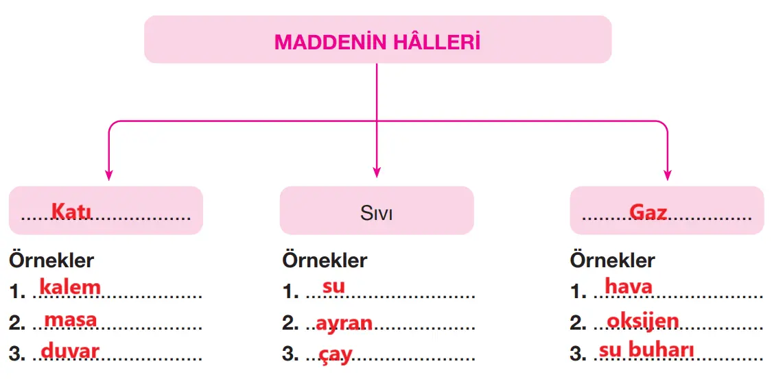 4. Sınıf Fen Bilimleri Ders Kitabı Sayfa 159-160-161-162-163 Cevapları Pasifik Yayınları 10 4. Sınıf Fen Bilimleri Ders Kitabı Sayfa 163 Cevapları Pasifik Yayınları