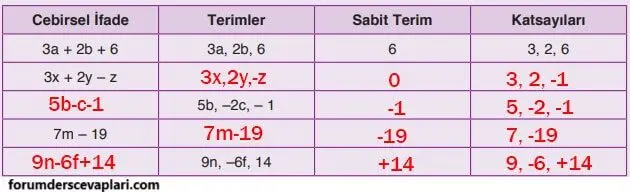 8. Sınıf Matematik Ders Kitabı Sayfa 113-116-117-119 Cevapları ADA Yayıncılık