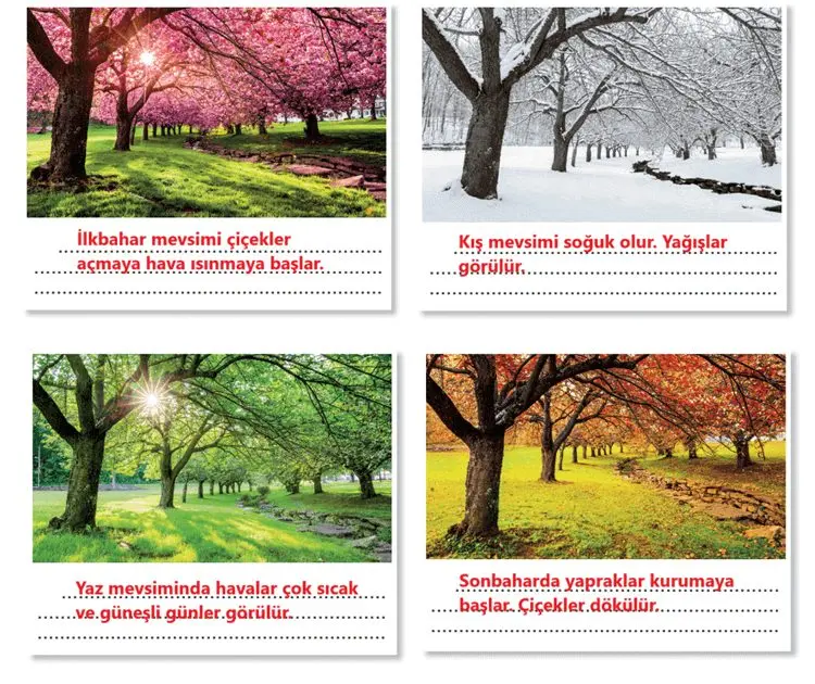 4. Sınıf Fen Bilimleri Ders Kitabı Sayfa 42-44-46 Cevapları Pasifik Yayınları 2 4. Sınıf Fen Bilimleri Ders Kitabı Sayfa 46 Cevapları