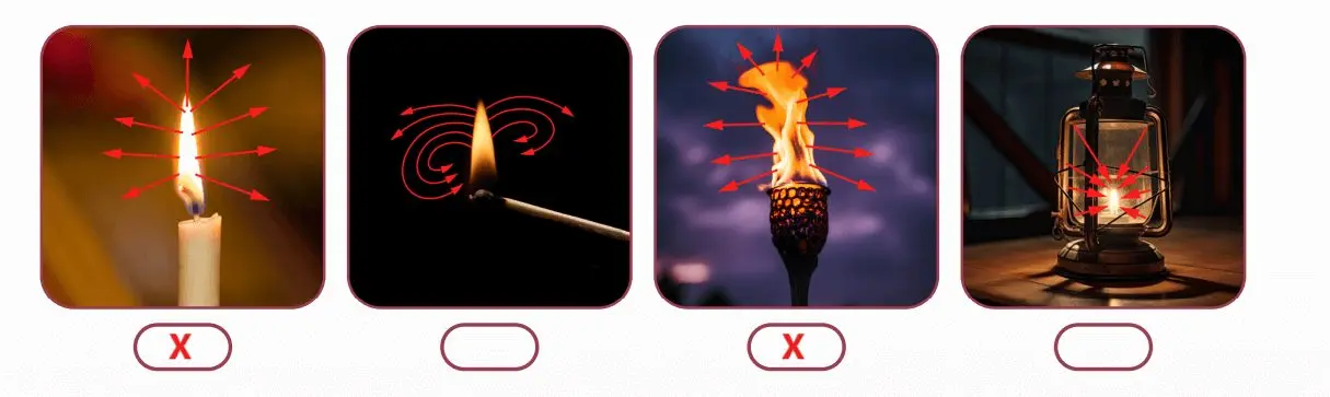 5. Sınıf Fen Bilimleri Ders Kitabı Sayfa 22 Cevapları MEB Yayınları