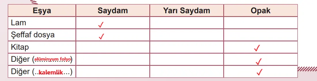 5. Sınıf Fen Bilimleri Ders Kitabı Sayfa 28 Cevapları MEB Yayınları